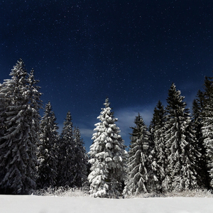 草莓视频下载地址
