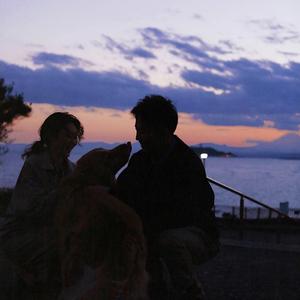 草莓视频下载地址
